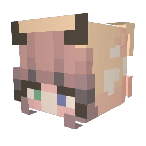 TheSurfingTaco_ Minecraft avatar head, 3D render