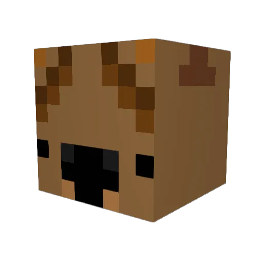 TheSurlyWombat Minecraft avatar head, 3D render