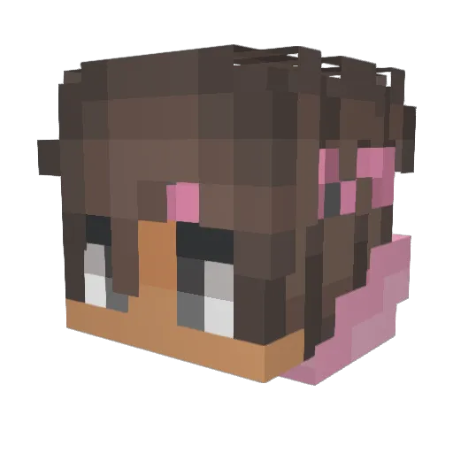 TheSushis Minecraft avatar head, 3D render