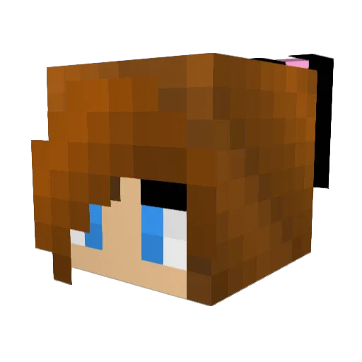 TheSwag8000 Minecraft avatar head, 3D render