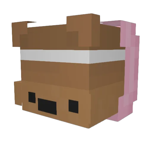 TheSwaggerBear Minecraft avatar head, 3D render