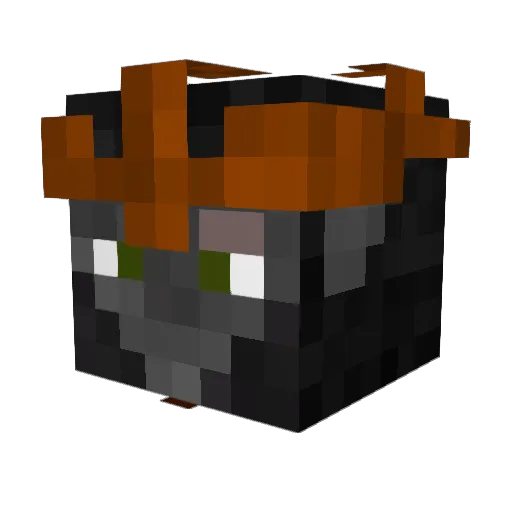 TheSwimmingFish Minecraft avatar head, 3D render