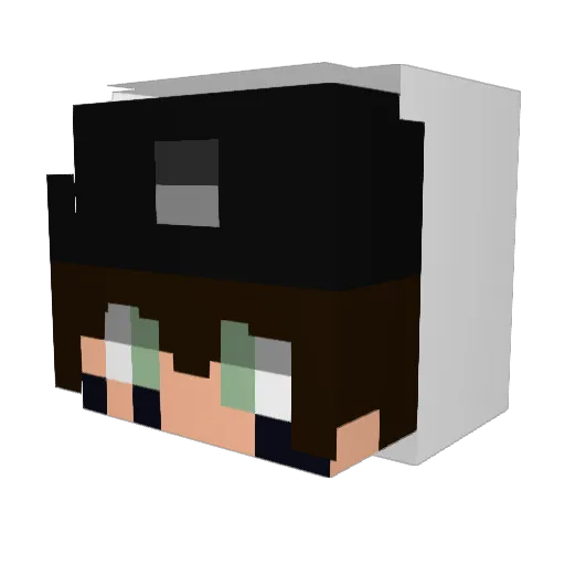 TheSyncIsDrippy Minecraft avatar head, 3D render