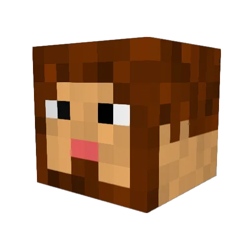 TheTBoner69 Minecraft avatar head, 3D render