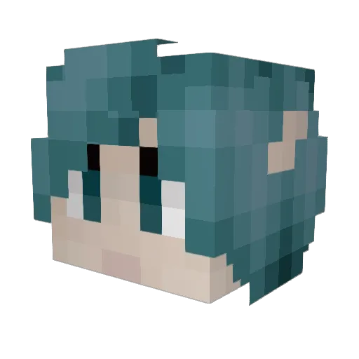 TheTGKitty Minecraft avatar head, 3D render
