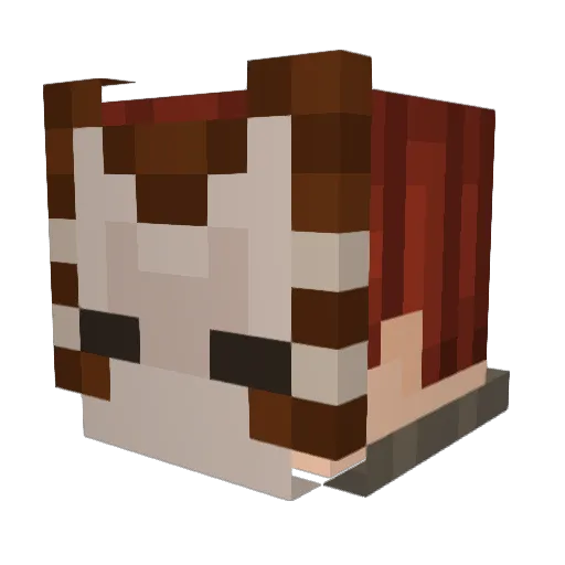 TheTabbyKing Minecraft avatar head, 3D render
