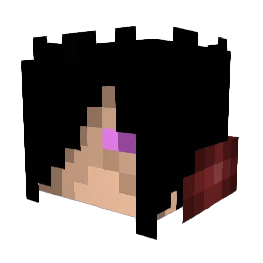 TheTacoVacuum Minecraft avatar head, 3D render