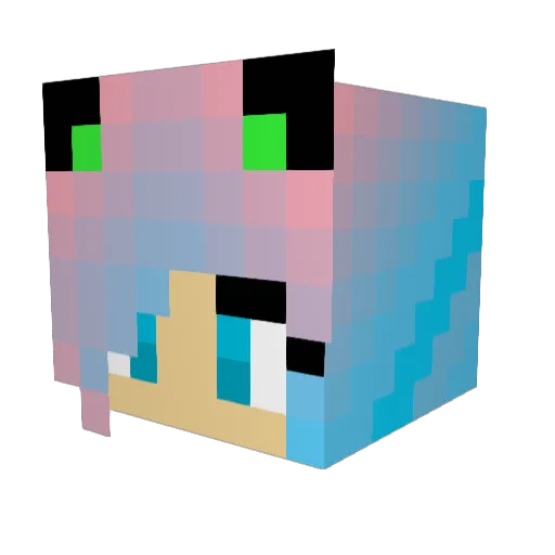 TheTanzer22 Minecraft avatar head, 3D render