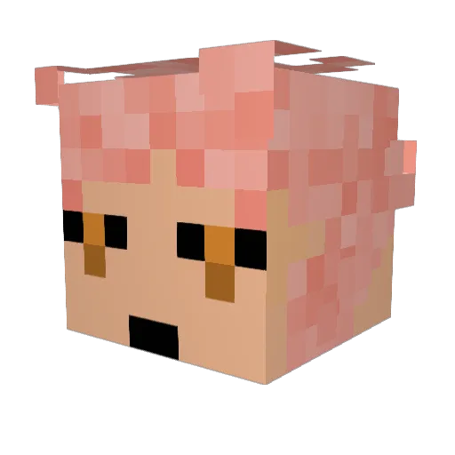 TheTaxaLaxaAxer Minecraft avatar head, 3D render