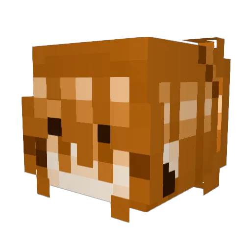 TheTeaGenius Minecraft avatar head, 3D render