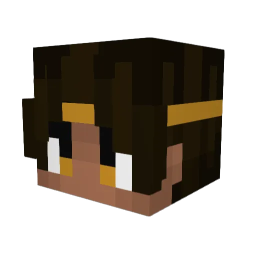 TheTeamcipo Minecraft avatar head, 3D render