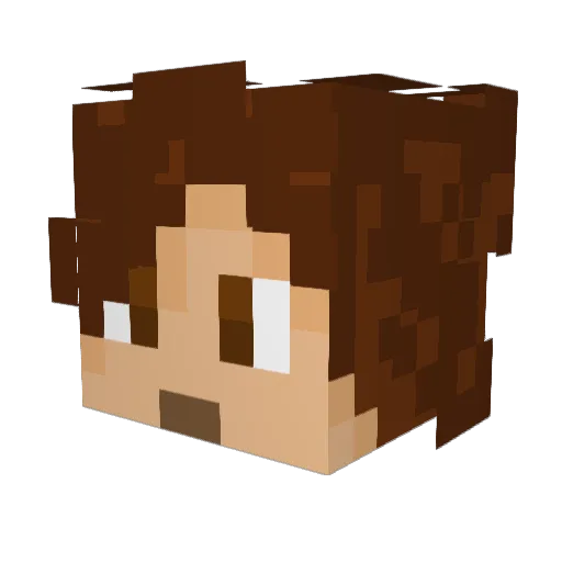 TheTeddyx3 Minecraft avatar head, 3D render