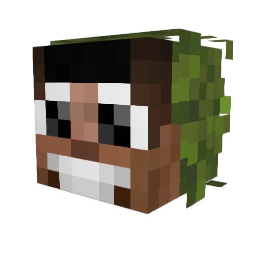 TheTermi226 Minecraft avatar head, 3D render