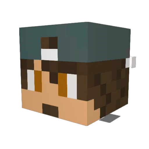 TheTesteurs Minecraft avatar head, 3D render