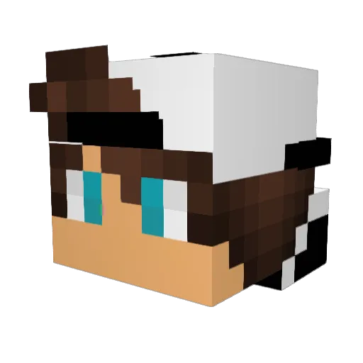 TheThunderFoxx Minecraft avatar head, 3D render
