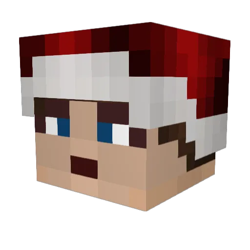 TheTiDi Minecraft avatar head, 3D render