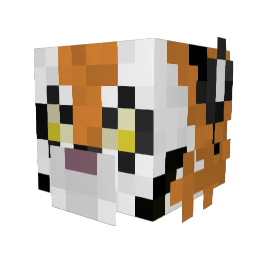 TheTiger0502 Minecraft avatar head, 3D render
