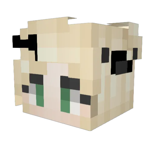 TheTigerGal Minecraft avatar head, 3D render