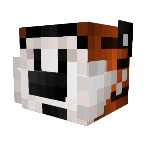 TheTigerGamer17 Minecraft avatar head, 3D render