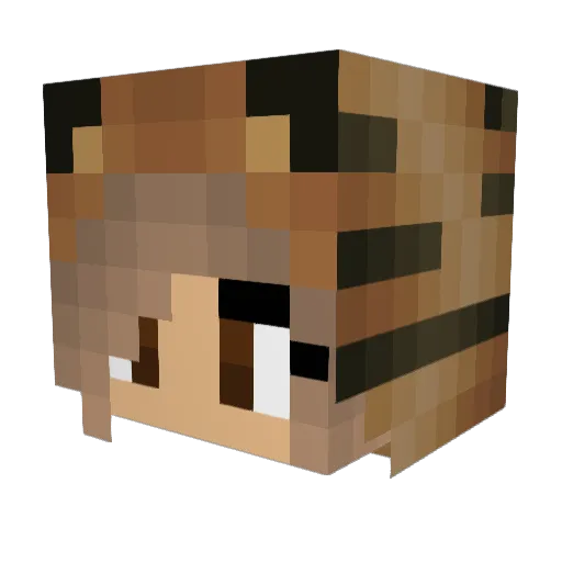 TheTigerLover Minecraft avatar head, 3D render