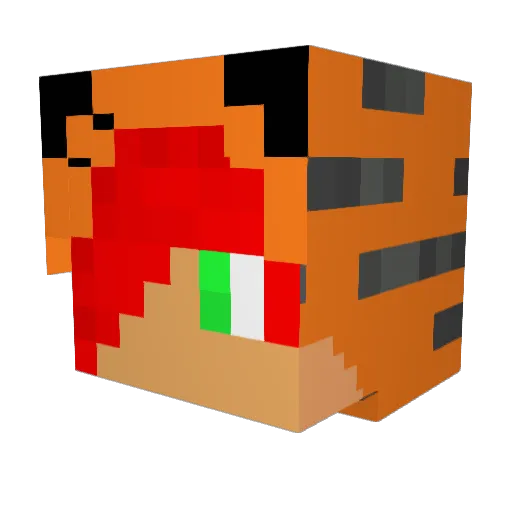 TheTiger_DK Minecraft avatar head, 3D render