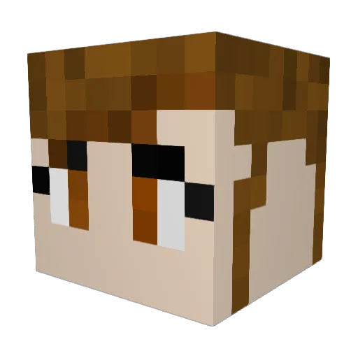 TheTigerr_YT Minecraft avatar head, 3D render