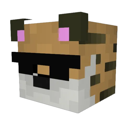 TheTigersDen Minecraft avatar head, 3D render