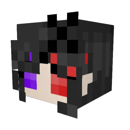Minecraft-Avatar von TheTimTimJr: Kopf als 3D-Render