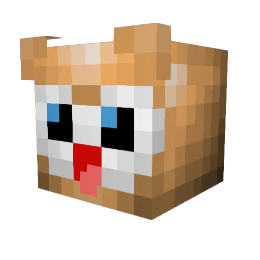 TheTimeIsMeow Minecraft avatar head, 3D render