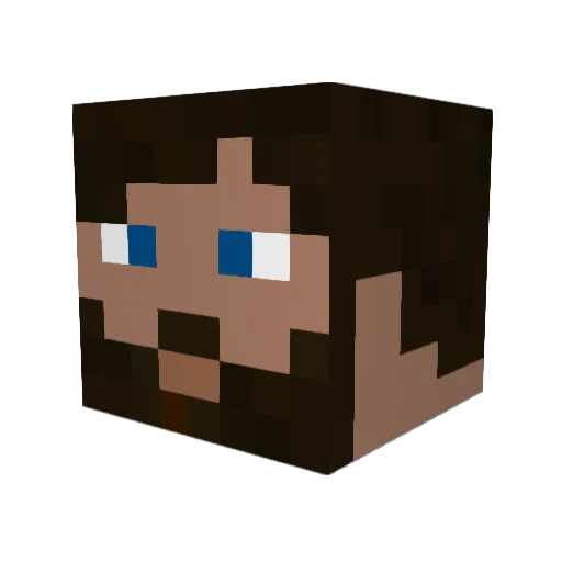 TheTimeWizard Minecraft avatar head, 3D render