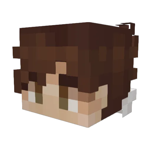 TheTiny3388 Minecraft avatar head, 3D render