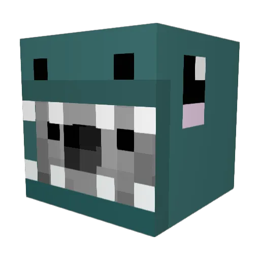 TheTinyKoala Minecraft avatar head, 3D render