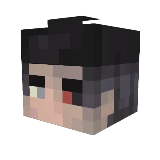 TheToiletLover Minecraft avatar head, 3D render