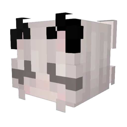 TheTopCat Minecraft avatar head, 3D render
