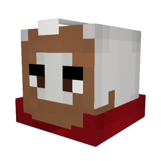 TheTopIsReal Minecraft avatar head, 3D render