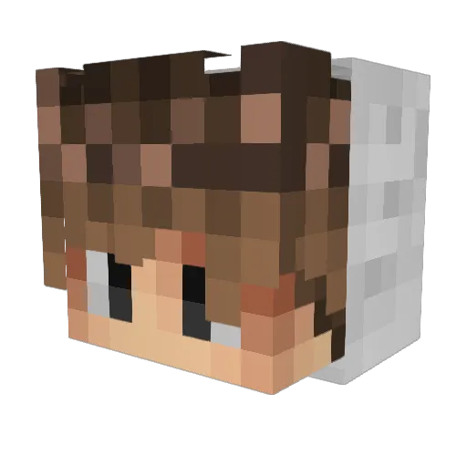 TheTornado_ Minecraft avatar head, 3D render