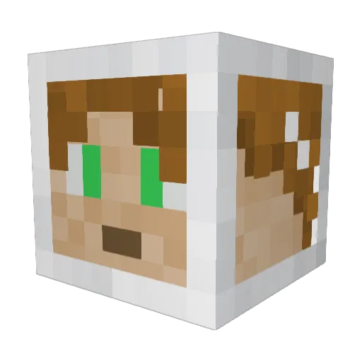 TheToxicGod69 Minecraft avatar head, 3D render