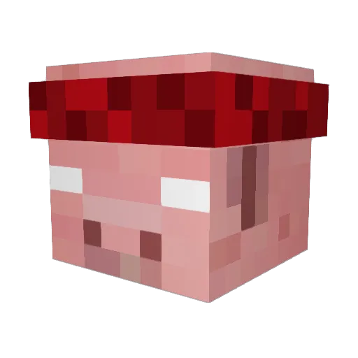 TheToxicYT Minecraft avatar head, 3D render