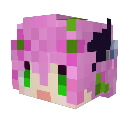 TheTrapa Minecraft avatar head, 3D render