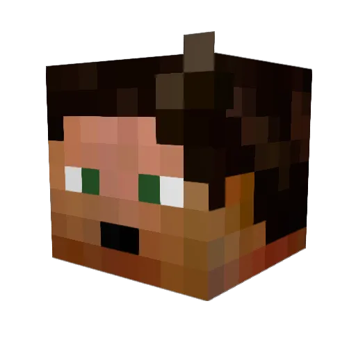 TheTraveler820 Minecraft avatar head, 3D render
