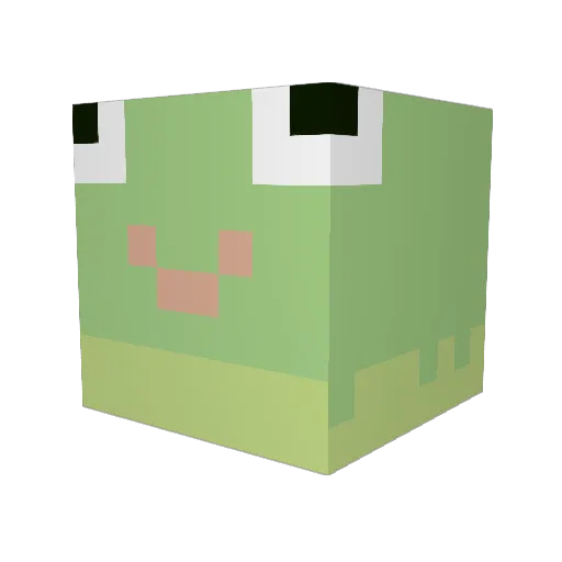 TheTreeFrogg Minecraft avatar head, 3D render