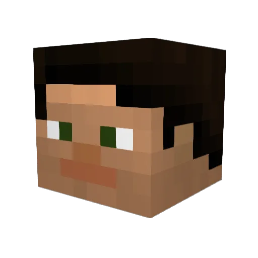 TheTrippyTree Minecraft avatar head, 3D render