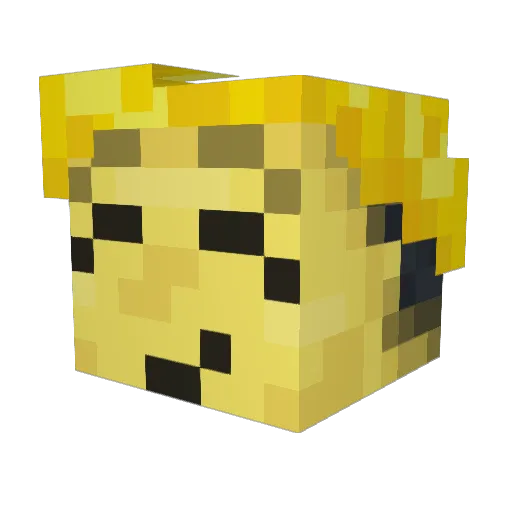 TheTrollerManOfT Minecraft avatar head, 3D render