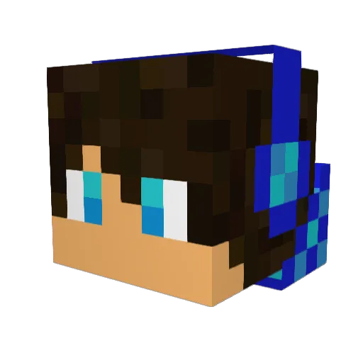 TheTrollingGuyx Minecraft avatar head, 3D render