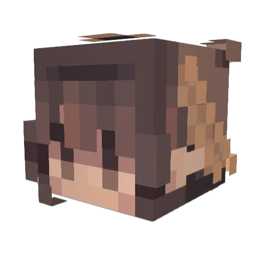 TheTropicalGoat Minecraft avatar head, 3D render