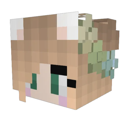 TheTropicalTreat Minecraft avatar head, 3D render