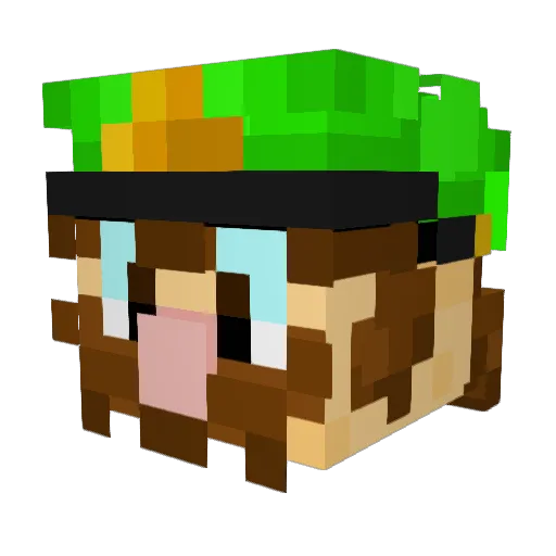 TheTrue1upChamp Minecraft avatar head, 3D render