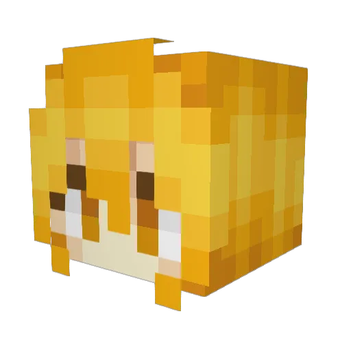 TheTrueMeep Minecraft avatar head, 3D render