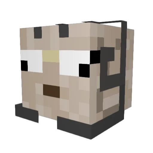 TheTurtleGod Minecraft avatar head, 3D render