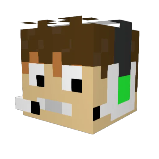 TheTwiggs123 Minecraft avatar head, 3D render